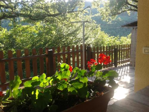 Zahrada ubytování Agriturismo Orsaiola