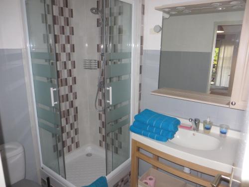une salle de bain avec un lavabo et une douche dans l'établissement Appartement Porte Évêque, à Avignon