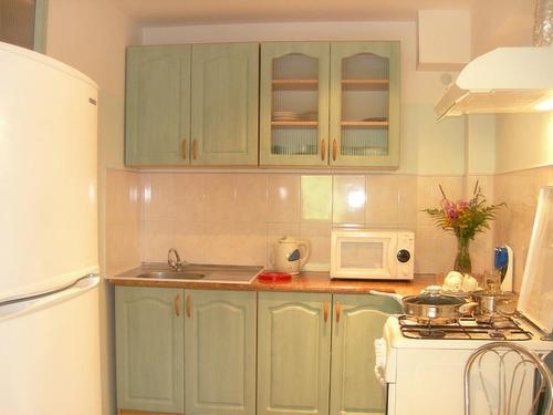 a kitchen with green cabinets and a white microwave at Albatross in Kaunata