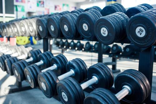 Gimnasio o equipo deportivo en "Palazzo"