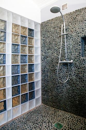 a bathroom with a shower with glass block walls at Nolitha in Manapany-les Bains