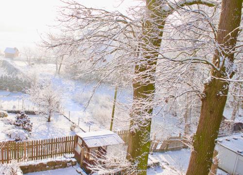 a snow covered yard with a fence and a tree at Appartment Döllinger Messe Fränkisches Seenland in Schwabach
