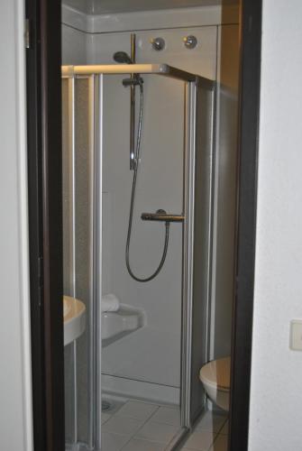a bathroom with a shower and a toilet at Lodner Hotel Drei Mohren in Lauingen
