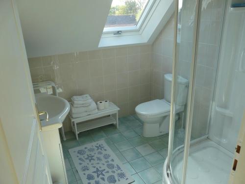 a bathroom with a shower and a toilet and a sink at Chambres d'hôtes de Penn Ar Yeun in Landrévarzec