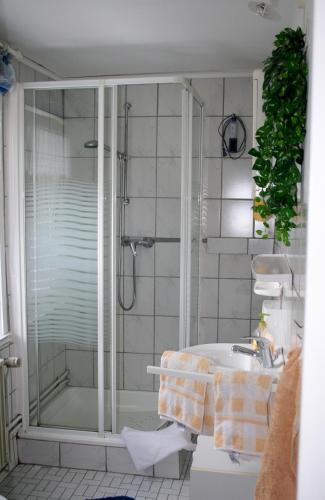 a bathroom with a shower and a sink at Haus Christa in Langelsheim