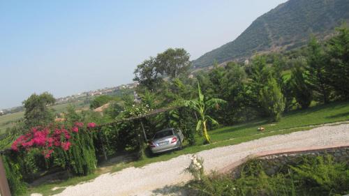 a car parked on the side of a road at B&B Macchia d'Olmo in Capaccio-Paestum