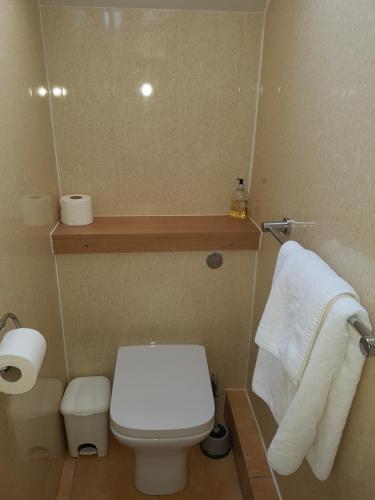 a small bathroom with a white toilet and towels at Ardshiel Hotel in Campbeltown