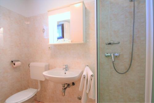 a bathroom with a toilet and a sink and a shower at Apartments Livio Stranici in Rošini