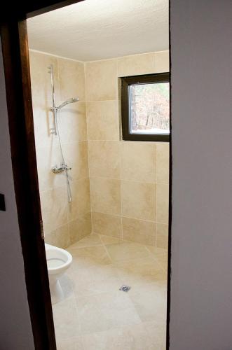 a bathroom with a shower and a toilet at Karadzhovata Kashta in Zlatograd