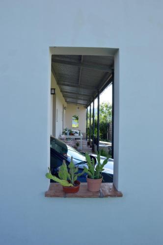 El Pago – Photos 3