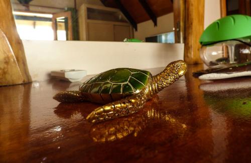 a small turtle sitting on a wooden table at Mouggae Blues Villas in Beau Vallon