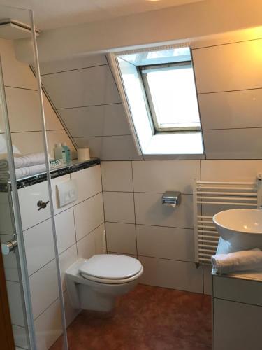 a bathroom with a toilet and a window and a sink at Hotel Schwanen in Mosbach
