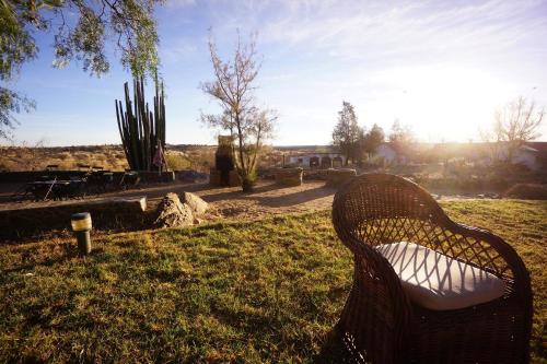 a wicker chair sitting in the grass in a yard at Halala Africa Lodge - Eagle Rock Lodge in Malabar