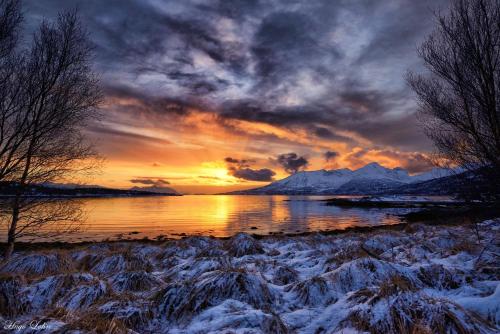 a sunset over a body of water with snow at Senja Fjordhotell and Apartments in Stonglandseidet