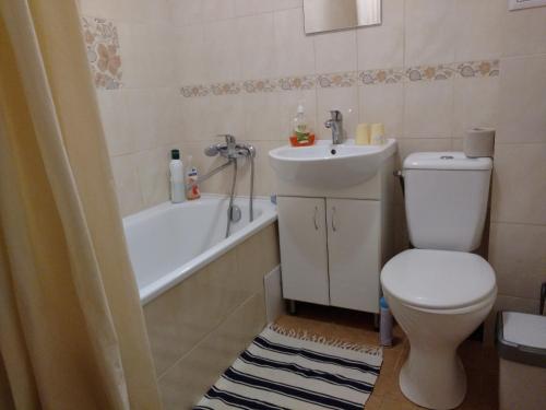 a bathroom with a toilet and a sink and a tub at Apartment on Knyahyni Ol'hy Street in Rivne