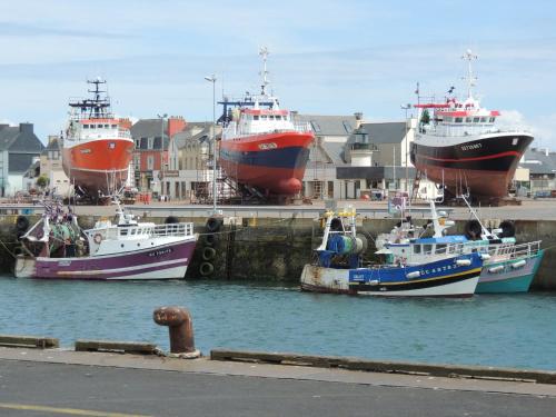 a group of boats docked in a harbor at L'Eclose in Le Guilvinec