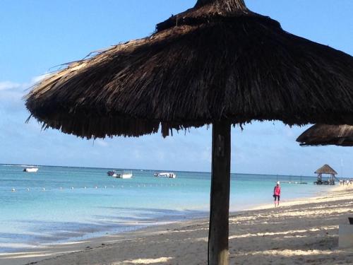 a straw umbrella on a beach with the ocean at Grenadier A in Flic-en-Flac
