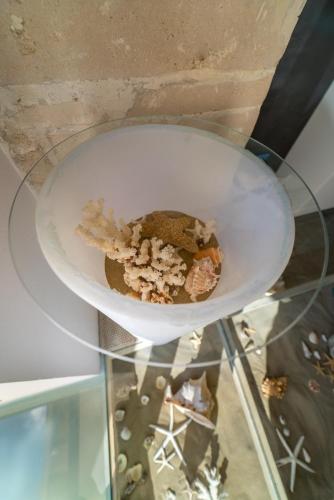 Cibo presso la casa vacanze o nelle vicinanze