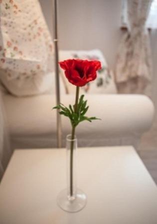 a red rose in a vase on a table at 4 Couples & 4 Friends Hostel in Krakow