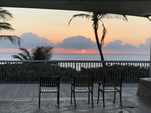 two chairs and a palm tree in front of the ocean at Seashell 2 in Boynton Beach