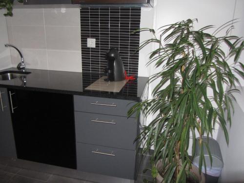 Η κουζίνα ή μικρή κουζίνα στο Apartment My Home
