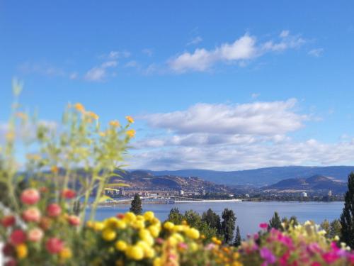 Gallery image of Lakeview Oasis Bed and Breakfast in West Kelowna