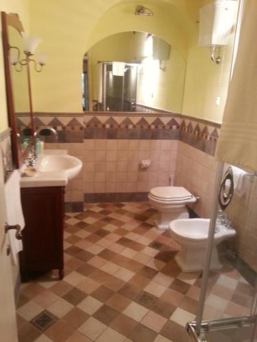 a bathroom with a toilet and a sink and a mirror at Agriturismo Cannavota in Follonica