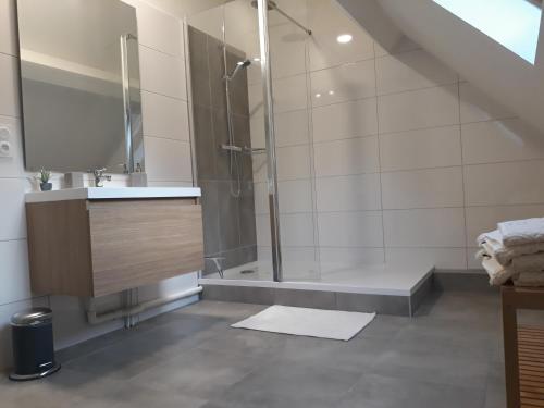 a bathroom with a shower and a sink at Chalet du Doumet Appartement 4 étoiles et Garage privé in Luz-Saint-Sauveur