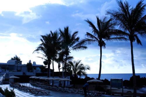 プエルト・デル・カルメンにあるCasa Los Jardinesの海浜のヤシの木群