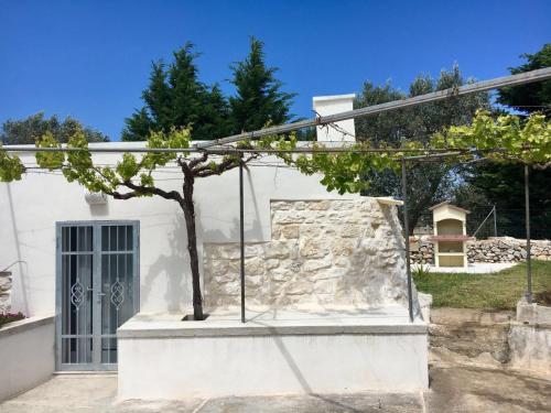 a white house with a tree in front of it at Trullo Grazioso Luxury in Ceglie Messapica
