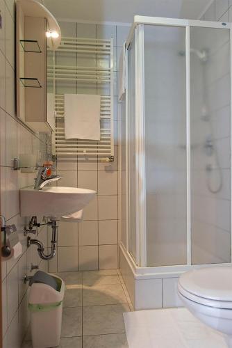 a bathroom with a shower and a sink and a toilet at Pansion Maestral in Novi Vinodolski