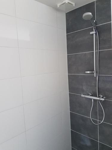 a bathroom with a shower with a shower head at Logeren op Dijk43 in Broek op Langedijk