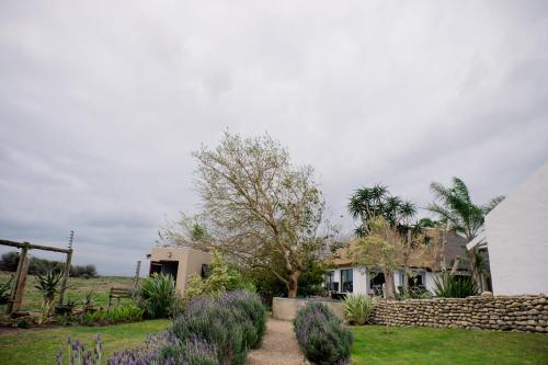 a house with a tree and a stone wall at De Old Drift Guest Farm in Addo