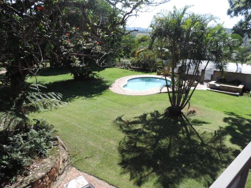 a garden with a swimming pool in a yard at MacNut Bed and Breakfast in Nelspruit