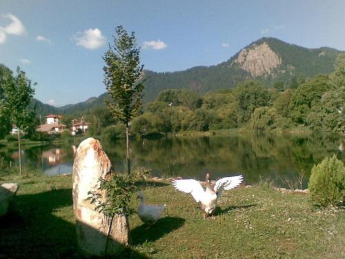 a bird flying over a body of water at Ribkata Family Hotel in Smolyan
