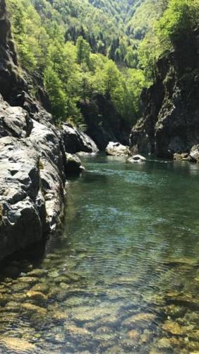 a river with green water and rocks and trees at Hotel Residence Giardini in Piode