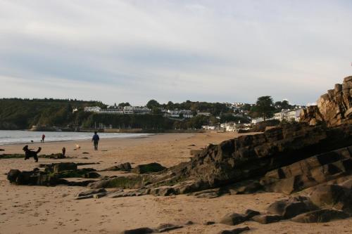 a beach with people and a person and a dog at Nythfa Guest House in Saundersfoot