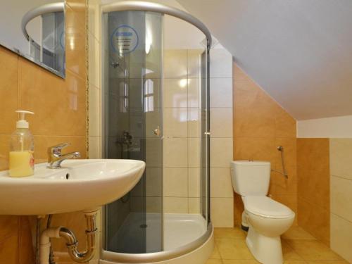 a bathroom with a shower and a sink and a toilet at Winnica Spisz in Łapsze Niżne