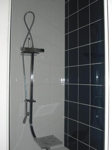 une douche avec pommeau de douche dans une salle de bain dans l'établissement Contre Vents et Marais, à Vix