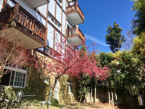 a building with a flowering tree in front of it at The Cotswolds Villa in Renai