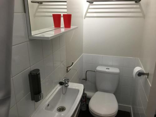 ニオールにあるLe Victoria centre 400m gare wifi linge de pressingのバスルーム(トイレ、洗面台、鏡付)