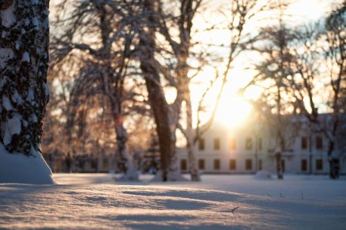 a winter scene with the sun shining through the trees at Gimo Herrgård in Gimo