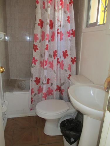 a bathroom with a toilet and a sink and a shower curtain at Cabañas Rupu Lafquén in Pichilemu