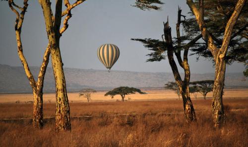 a hot air balloon flying over a field with trees at Neptune Mara Rianta Luxury Camp - All Inclusive. in Masai Mara