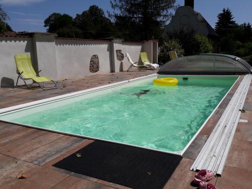 una piscina con frisbee in acqua di Zámek Jindřichovice a Kolinec