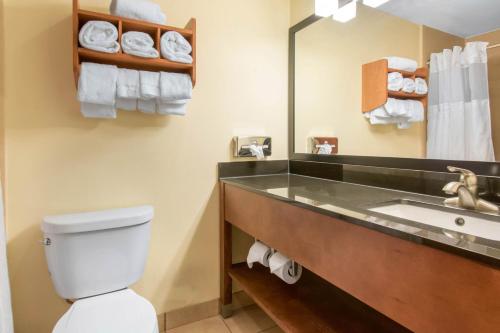 a bathroom with a sink and a toilet and a mirror at Clarion Hotel & Suites University-Shippensburg in Shippensburg