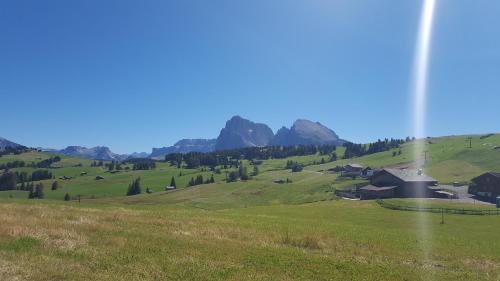a view of a green field with mountains in the background at Hotel Bischofhof in Chiusa