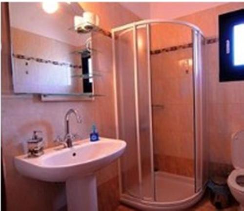 a bathroom with a shower and a sink and a shower at Fotini Apartments in Palekastron