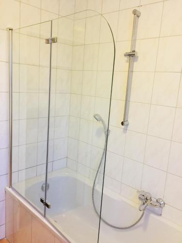 Bilik mandi di Ferienwohnung Dhillon