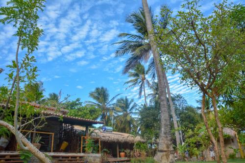 a palm tree in front of a house at Canoé Brasil in Praia de Moitas